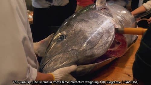 Go to the tuna cutting show! - Episode 1